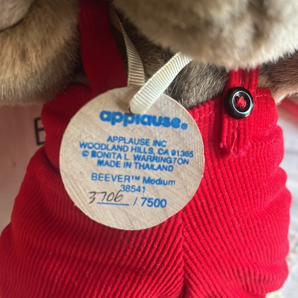 NIB Bonita Bear—medium - Picture 4 of 5